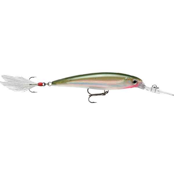 Rapala Saltwater X-RAP Deep 10cm - Image 3