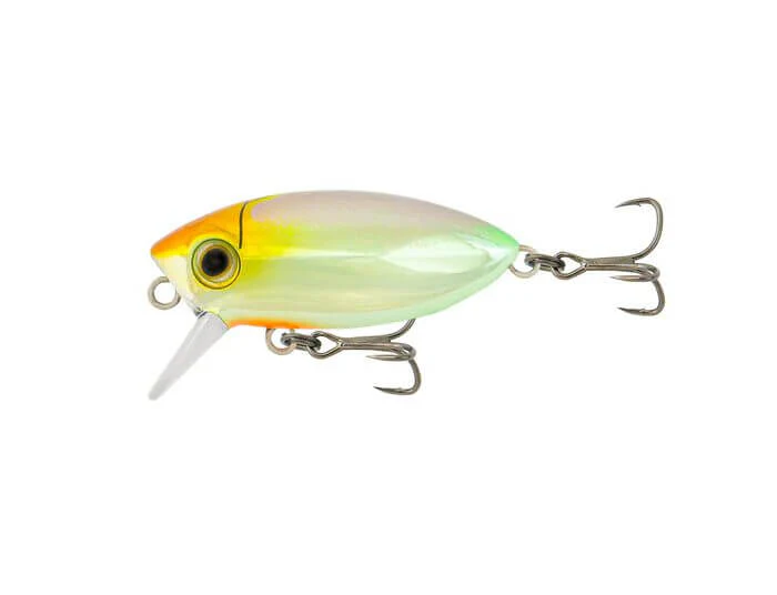 Samaki Redic SF40 Footy Bug - Image 4