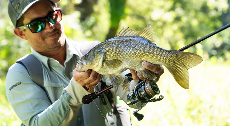 Shimano Artiesta Rods - Image 3