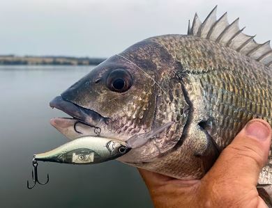 Shimano Bantam Enber Flash Boost 60mm Hardbody - Image 5