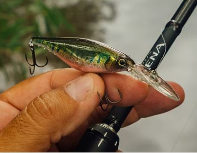Shimano Bantam Enber Flash Boost 60mm Hardbody - Image 6
