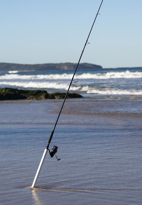 Shimano Dynaflare Rod - Image 3