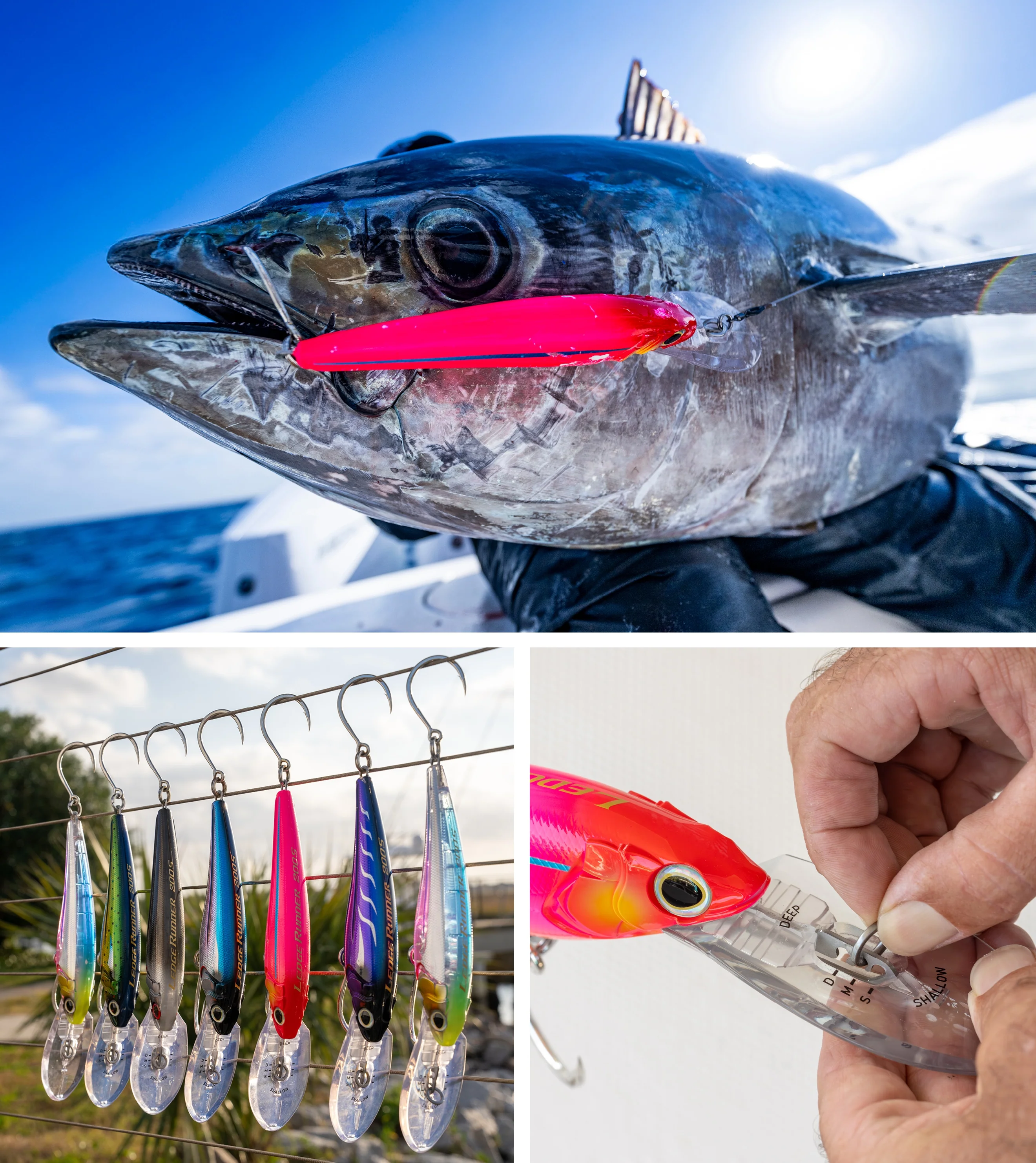 Shimano Ledge Runner 160F Lure - Image 11