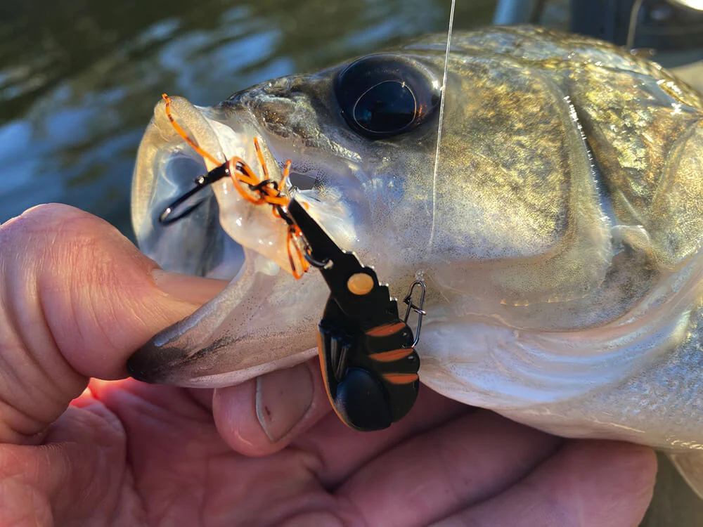 Tackle Tactics SwitchPrawn+ 37mm Metal Vibe 5.5g - Image 20