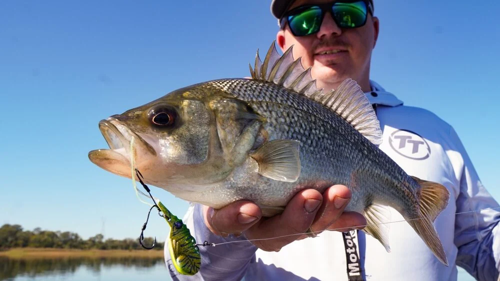 Tackle Tactics SwitchPrawn+ 50mm Metal Vibe 13g - Image 19