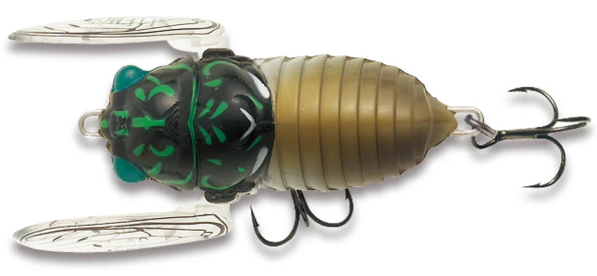 Tiemco Soft Shell Cicada EVO Floating 5g 42mm - Image 12