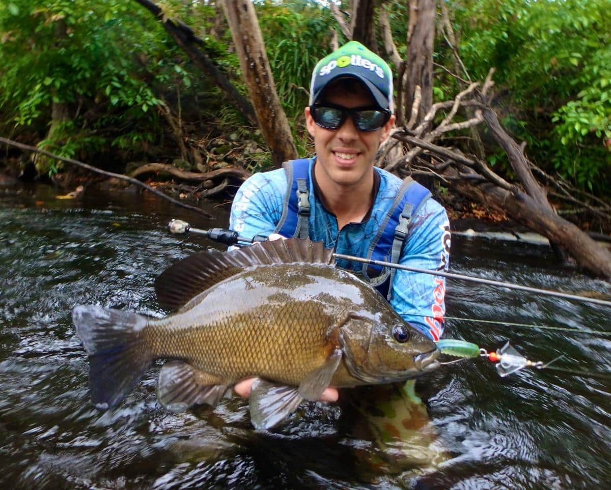 TT Buzzlockz Surface Spinner - Image 4