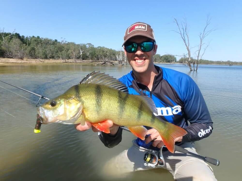 TT Nedlockz HD Jig Heads - Image 2