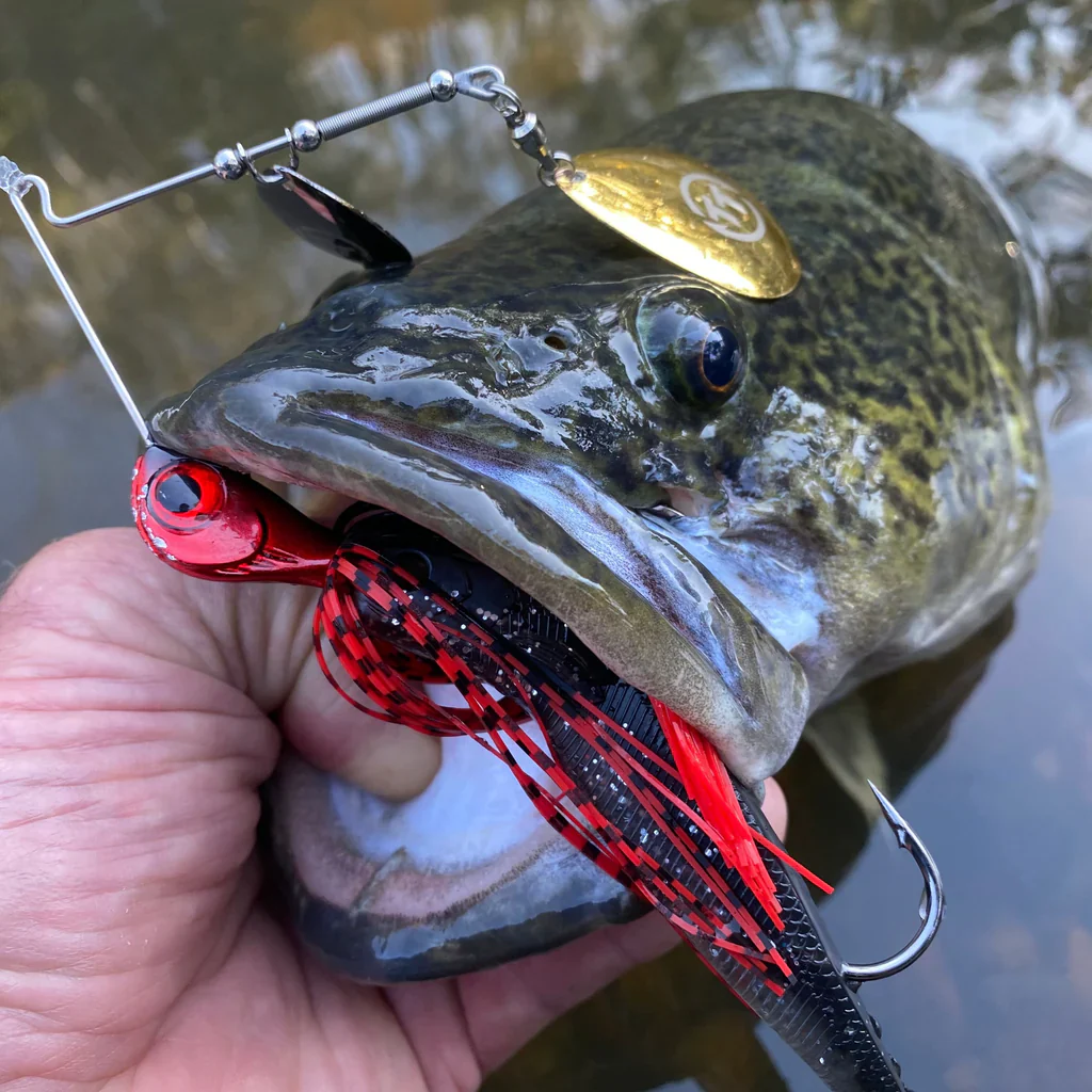TT Tornado + DBL COL Rigged 1oz - Image 13