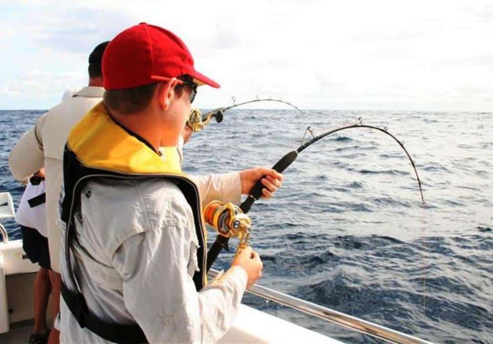 Venom Deep Jig Overhead Rods - Image 4