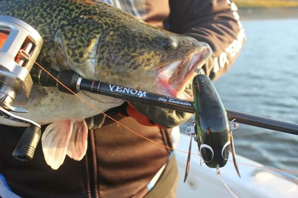 Venom Long Baitcaster Rods - Image 3