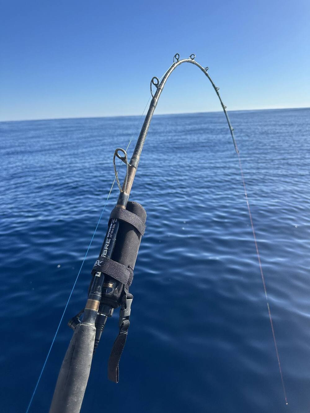 Wilson Live Fibre Electric Assist Overhead Fishing Rod - Image 7