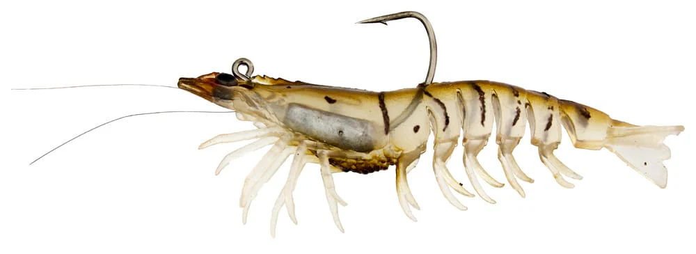 Zerek Absolute Shrimp 3.5in Rigged Plastic - Image 2