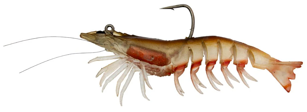 Zerek Absolute Shrimp 3.5in Rigged Plastic - Image 3