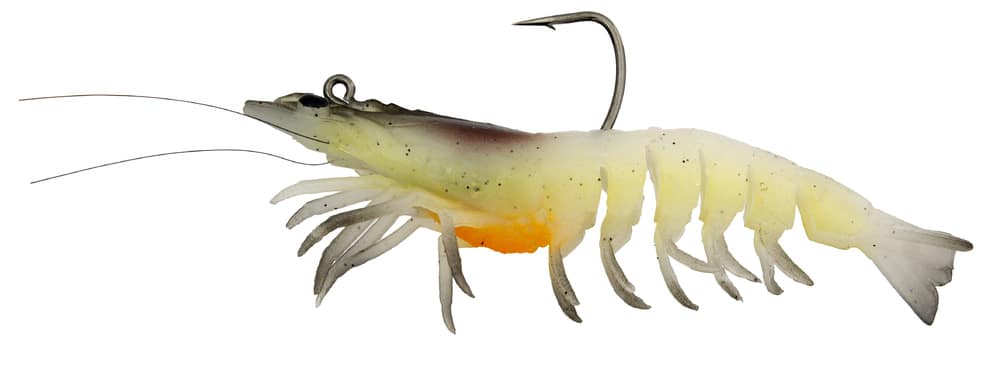 Zerek Absolute Shrimp 3.5in Rigged Plastic - Image 4
