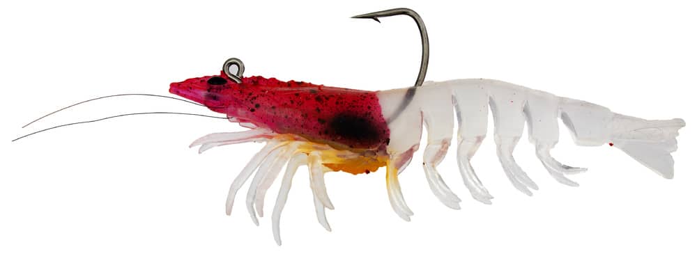 Zerek Absolute Shrimp 3.5in Rigged Plastic - Image 6
