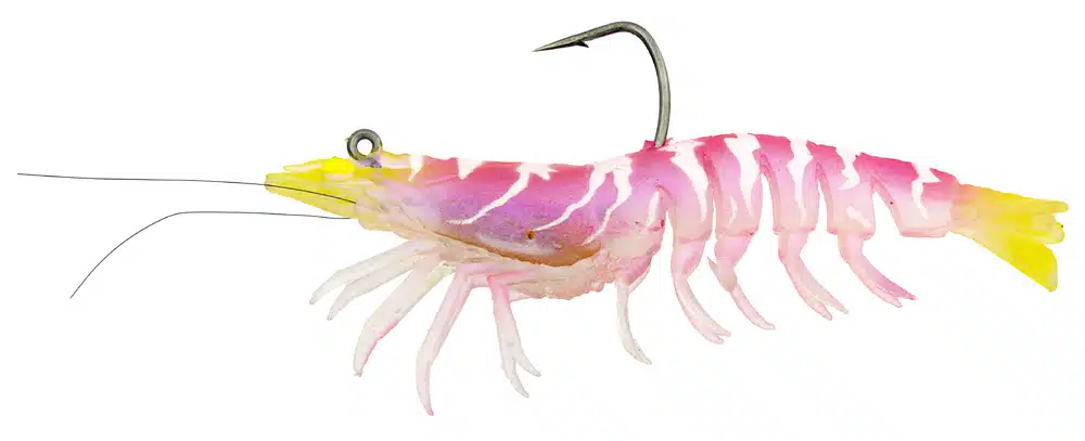 Zerek Absolute Shrimp 3in Rigged Plastic - Image 10