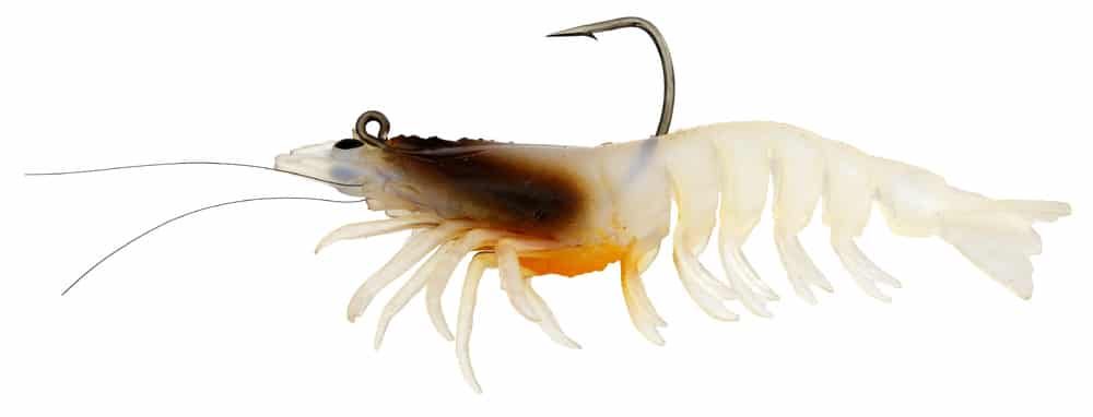 Zerek Absolute Shrimp 4.5in Rigged Plastic - Image 7