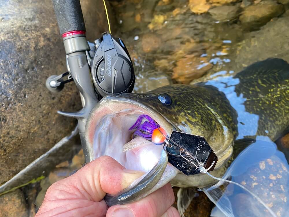 Zman Chatterbait Big Blade 1/2oz - Image 5
