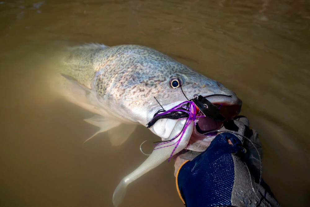 Zman Chatterbait Big Blade 3/4oz - Image 3