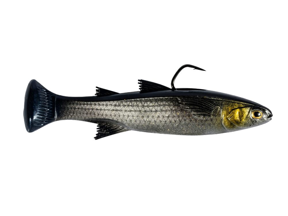 Zman Mulletron LT 6in Rigged Swimbait - Image 5